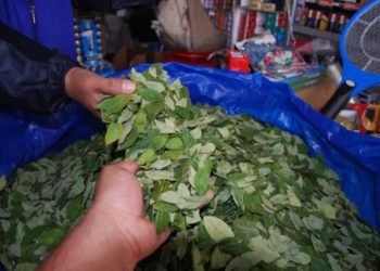 Un vendedor de hojas de coca se contagió de coronavirus: sus clientes están alarmados