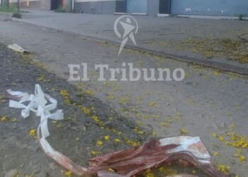 Salvaje ataque: Hieren de varias cuchilladas a una médica