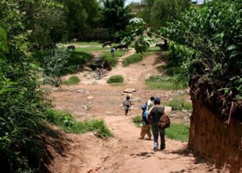 ¿Un 911 Federal controlaría las fronteras ilegales del norte salteño?