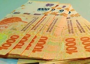 El gobierno dará $11.000 por cinco meses: ¿A quién?.