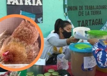 Tartagal | Se viene el PRIMER GALLINAZO de la UTT!