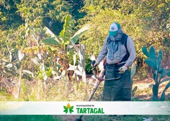 Tartagal: el municipio sigue con la limpieza y el mantenimiento de espacios públicos