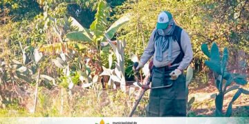 Tartagal: el municipio sigue con la limpieza y el mantenimiento de espacios públicos