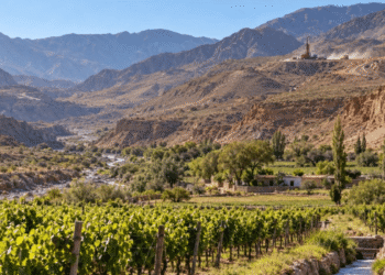 Pedidos mineros en Molinos: cobre y otros minerales en zona de cultivos, ganadería y vino